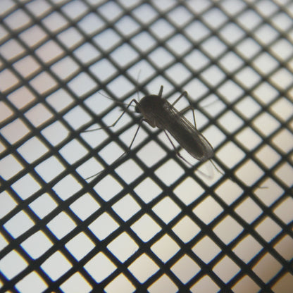 Tela Mosquiteira Magnética Anti-Insetos