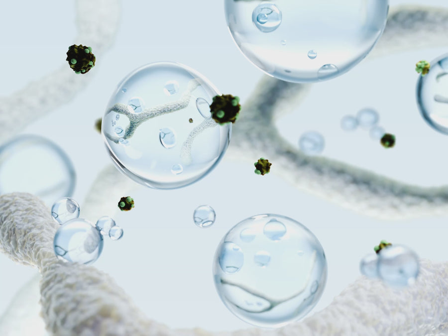 Microbiote vaginal
